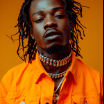 King Nova Profile Picture